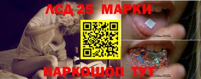 spice Шелехов