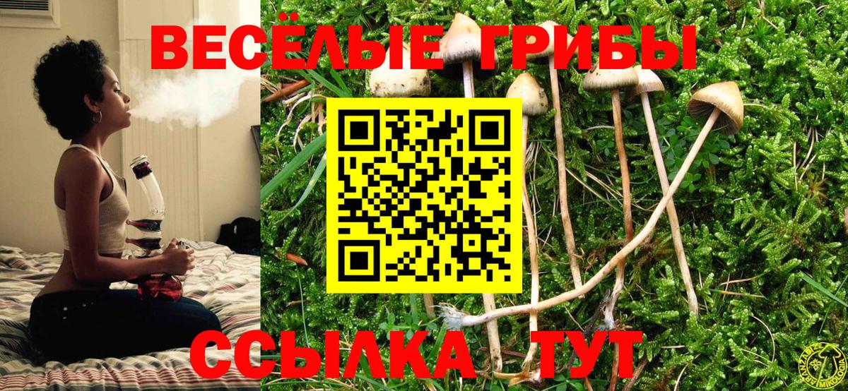 Кыштым  Галлюциногенные грибы ЛСД  Вход с VPN 