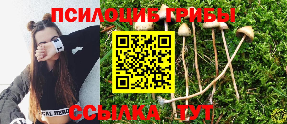 Галлюциногенные грибы Magic Shrooms Кыштым